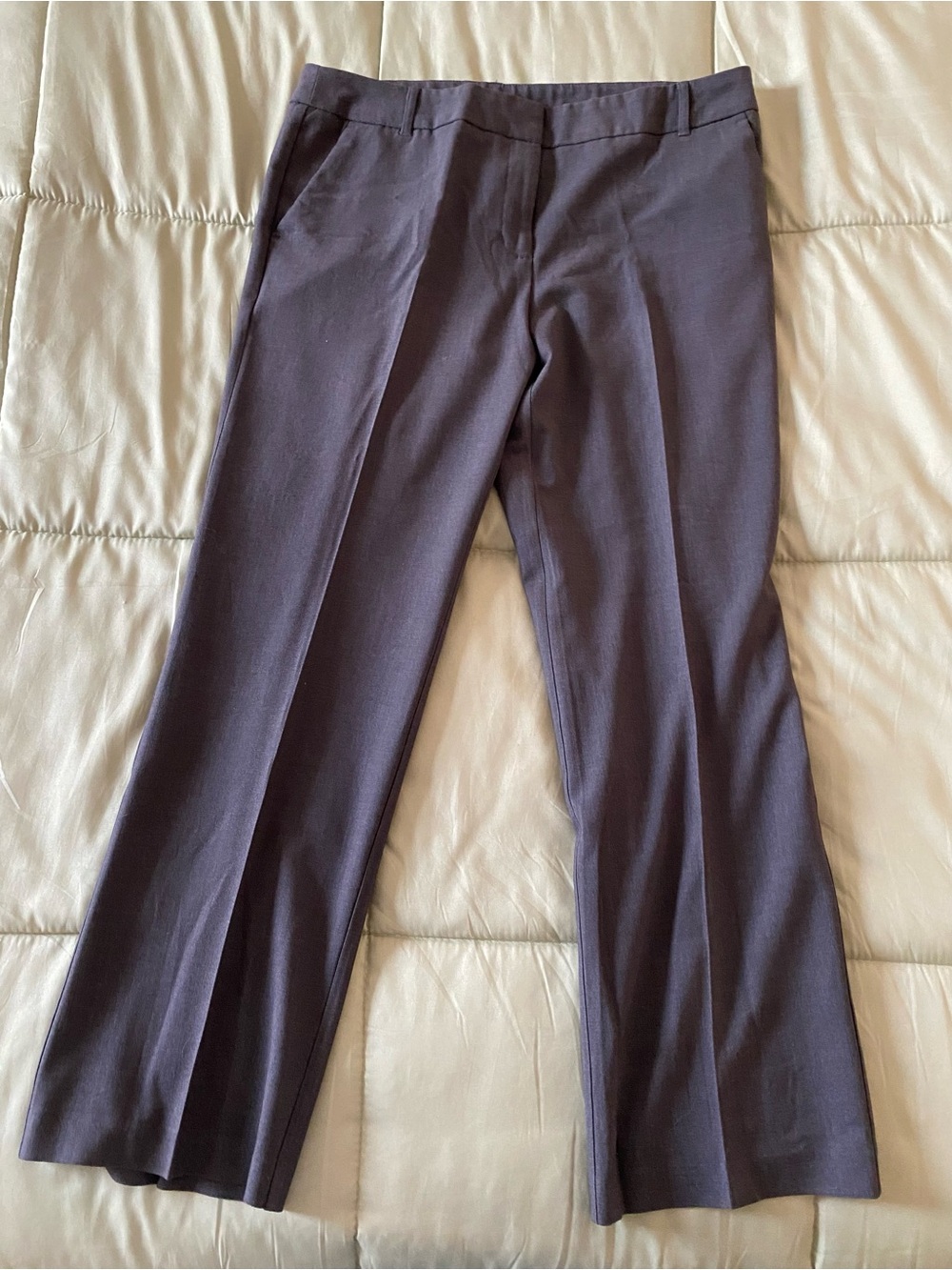 George Petite Women's Pants in Charcoal Gray